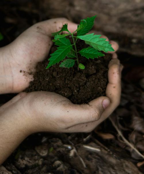 Assessoria Ambiental