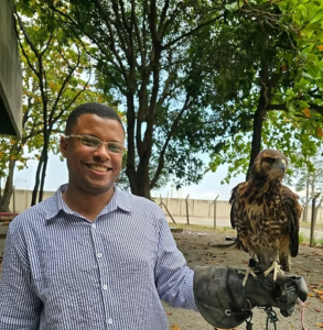 PODA DE ARVORE NO RJ 6